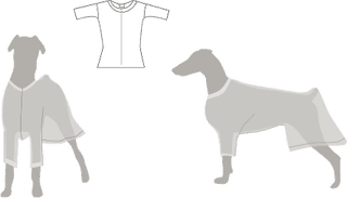 Illustration for article titled How to Avoid the Cone of Shame for Dogs Post Surgery